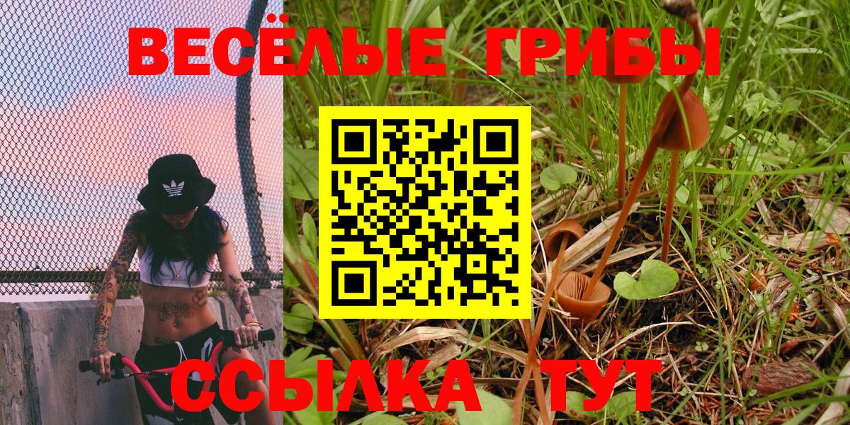 Усть-Джегута  Галлюциногенные грибы Psilocybe  Галлюциногенные грибы Cubensis  Вход с VPN 