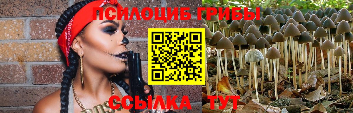 Псилоцибиновые грибы ЛСД Усть-Джегута